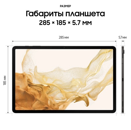 Планшет Samsung Galaxy Tab S8 Plus 8/256Gb 5G (SM-X806B) Silver