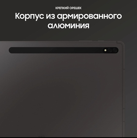 Планшет Samsung Galaxy Tab S8 Plus 8/256Gb 5G (SM-X806B) Silver